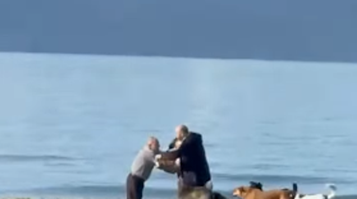 Qentë sulmojnë të moshuarin në Vlorë, gruaja përleshet t’i marrë bastunin