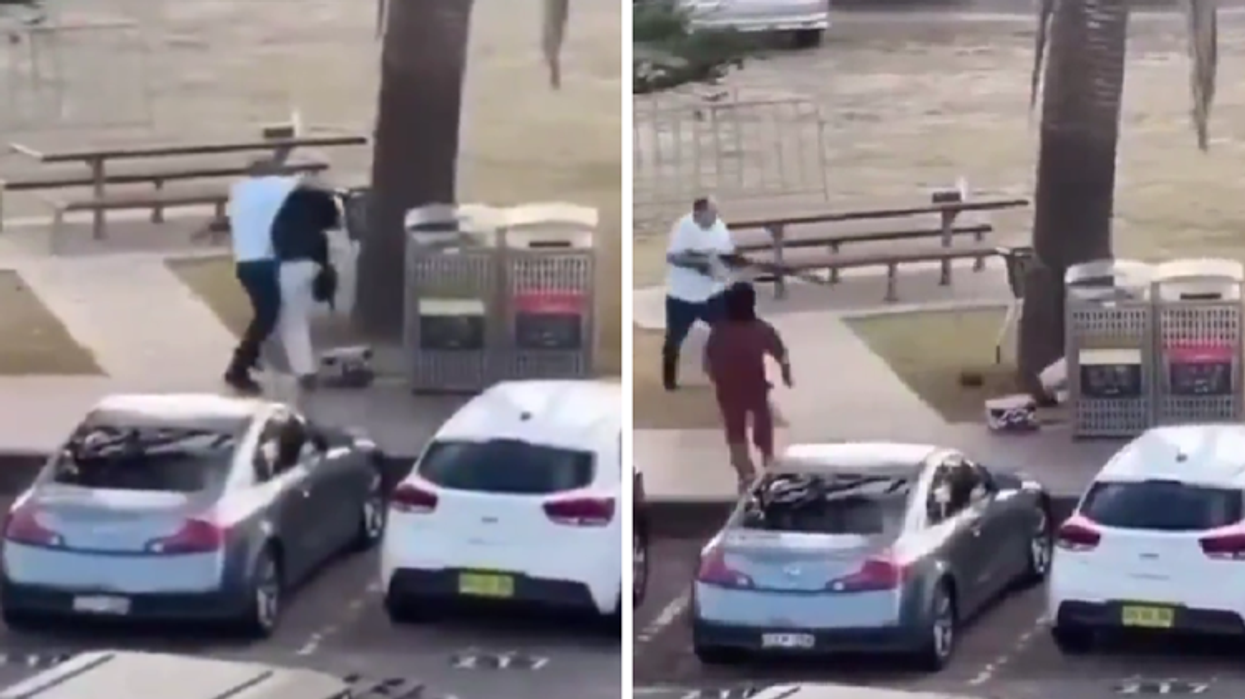 Australi, qytetari i hip sulmuesit mbi shpinë dhe ia merr pushkën - pamjet bëjnë bujë