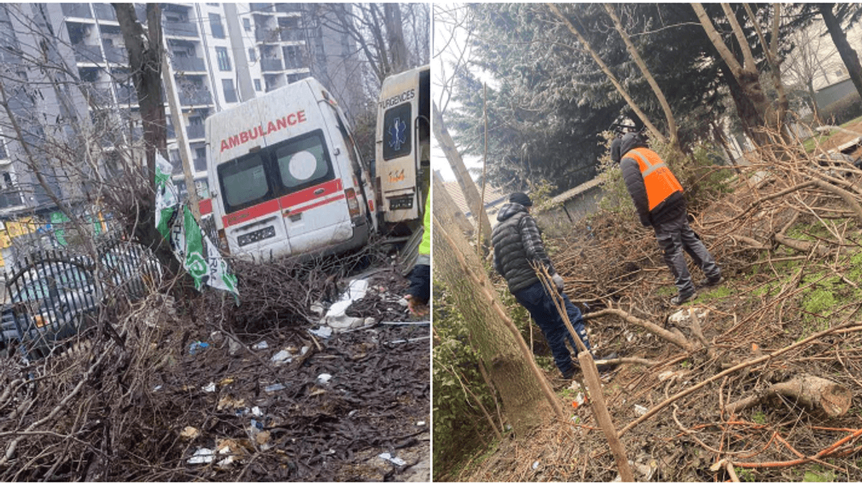 NPL “Ambienti” pastron oborrin e QKMF-së dhe mirëmban parkun e fshatit Gremë NPL “Ambienti” pastron oborrin e QKMF-së dhe mirëmban parkun e fshatit Gremë