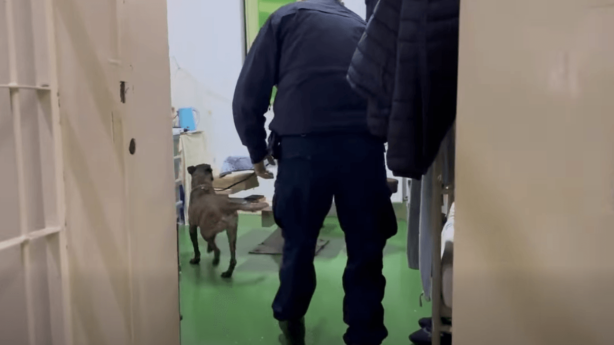 Bastisje në Qendrën Korrektuese të Dubravës, dalin pamjet