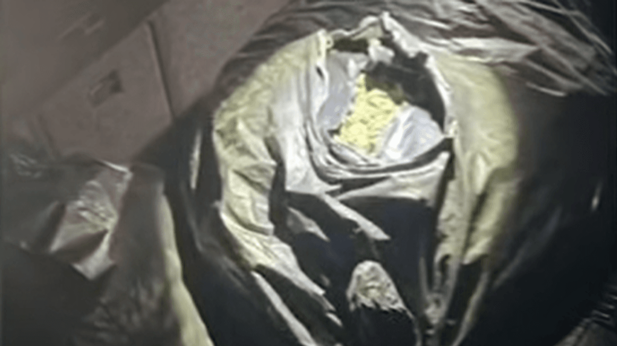 Goditet grupi i trafikut të drogës, 4 në pranga - sekuestrohen armë dhe 41 kg kanabis sativa Goditet grupi i trafikut të drogës, 4 në pranga - sekuestrohen armë dhe 41 kg kanabis sativa