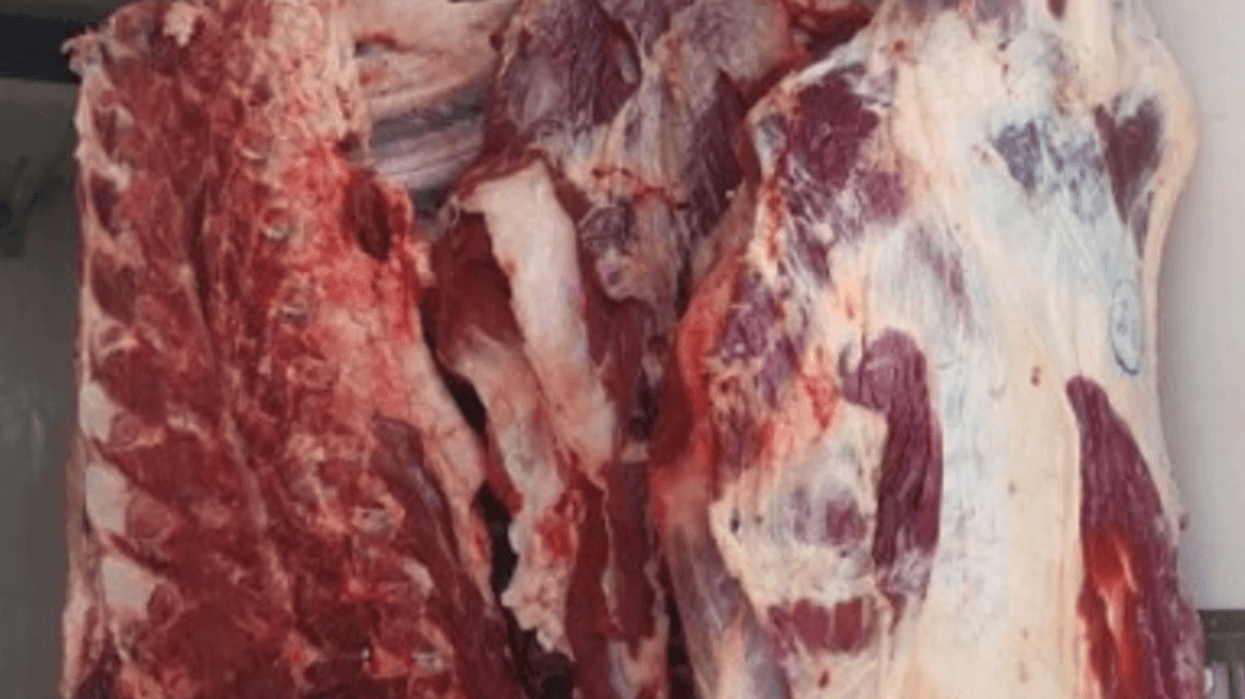 Gjendet sasi e mishit të freskët pa dokumente në një veturë në Klinë, rasti po hetohet