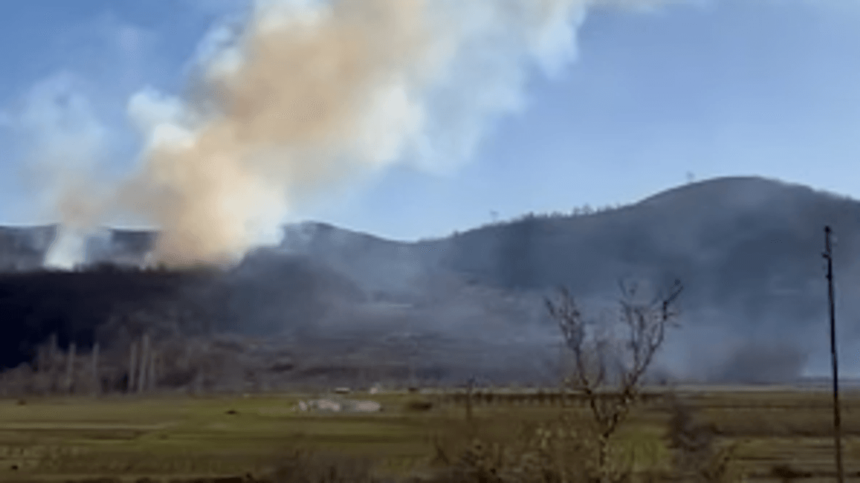 Alarm në Pogradec, zjarri përhapet me shpejtësi në pyjet e Leshnicës Alarm në Pogradec, zjarri përhapet me shpejtësi në pyjet e Leshnicës