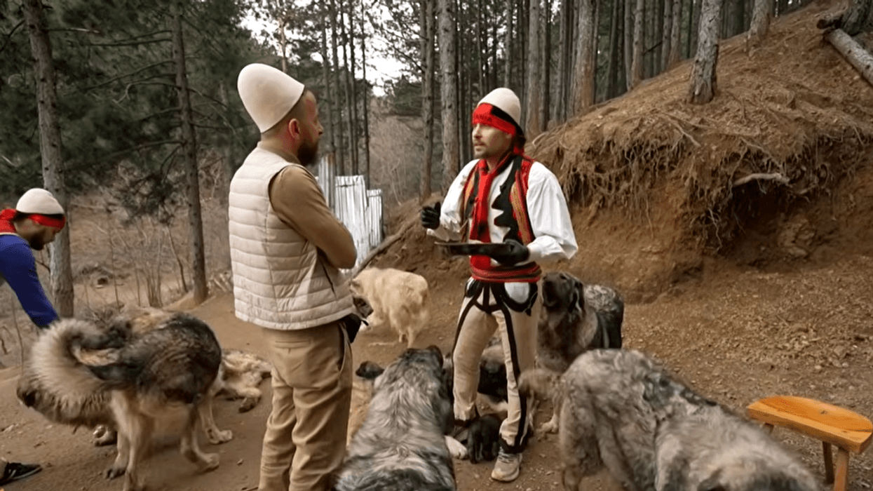 Qentë e Sharrit të Dritan Frrokut nga Puka – një nga kultivuesit më të mëdhenj në shqiptari