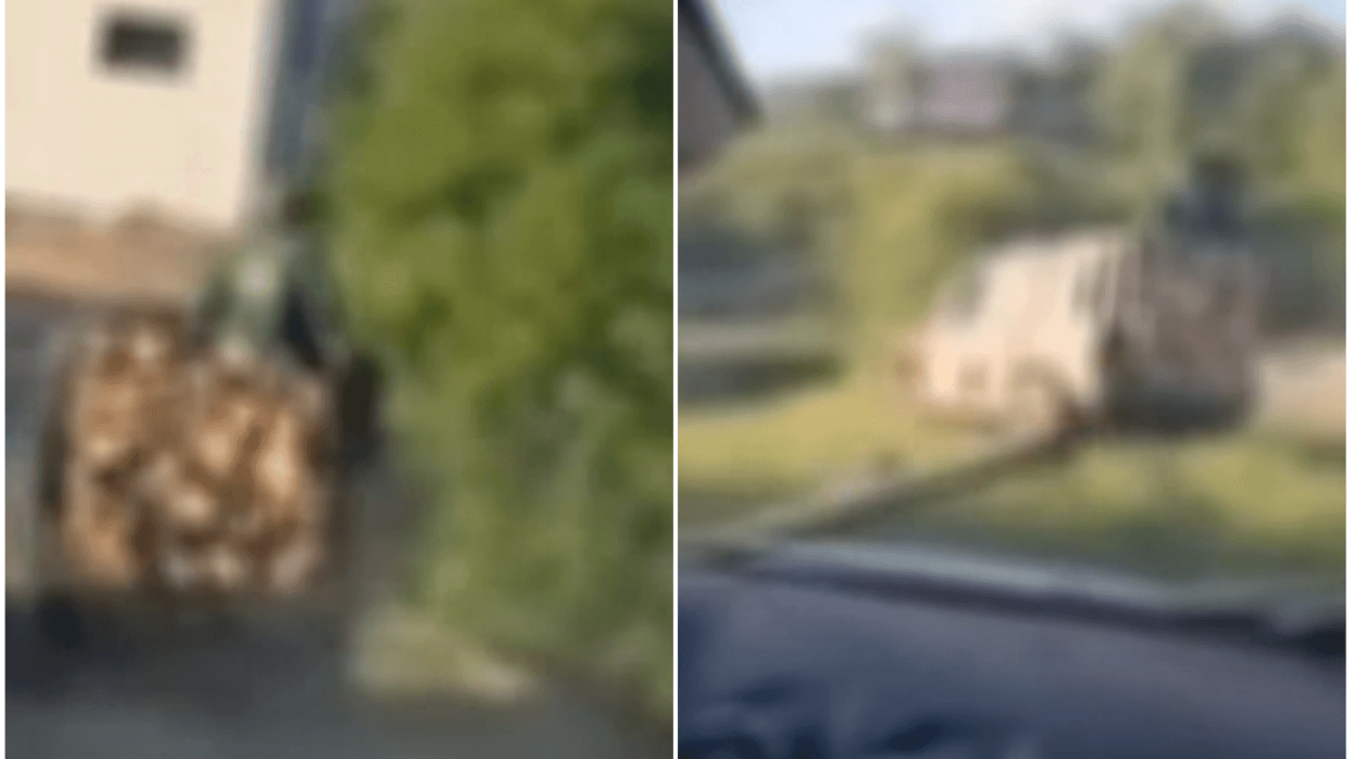 Penguan policinë në Parkun Nacional “Sharri”, dy persona nën hetim