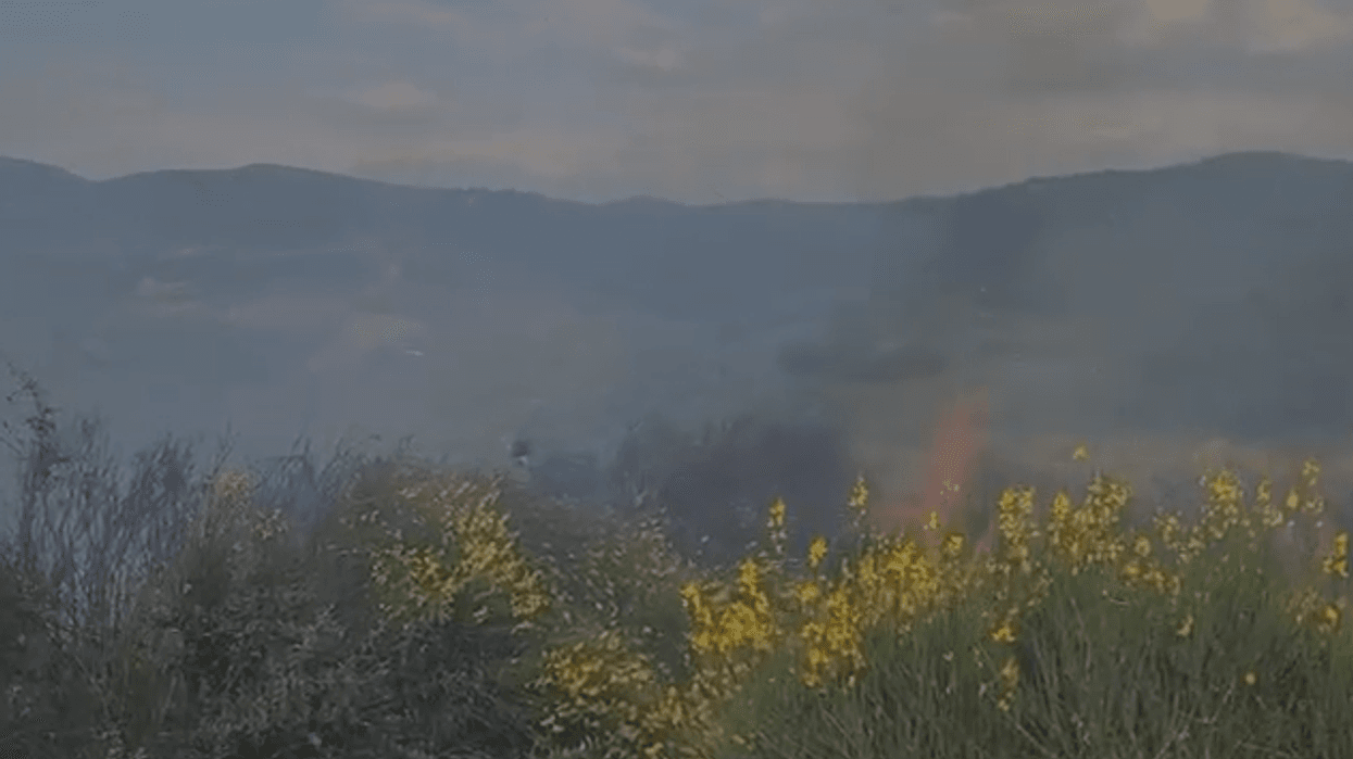 Zjarri në Panaja të Vlorës, flakët përhapen me shpejtësi drejt ullishteve nga era e fortë Zjarri në Panaja të Vlorës, flakët përhapen me shpejtësi drejt ullishteve nga era e fortë