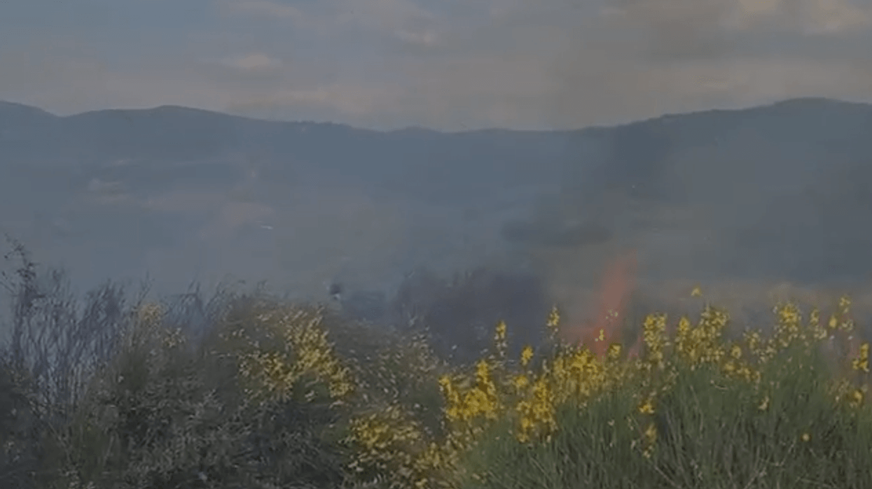 Zjarri në Panaja të Vlorës, flakët përhapen me shpejtësi drejt ullishteve nga era e fortë