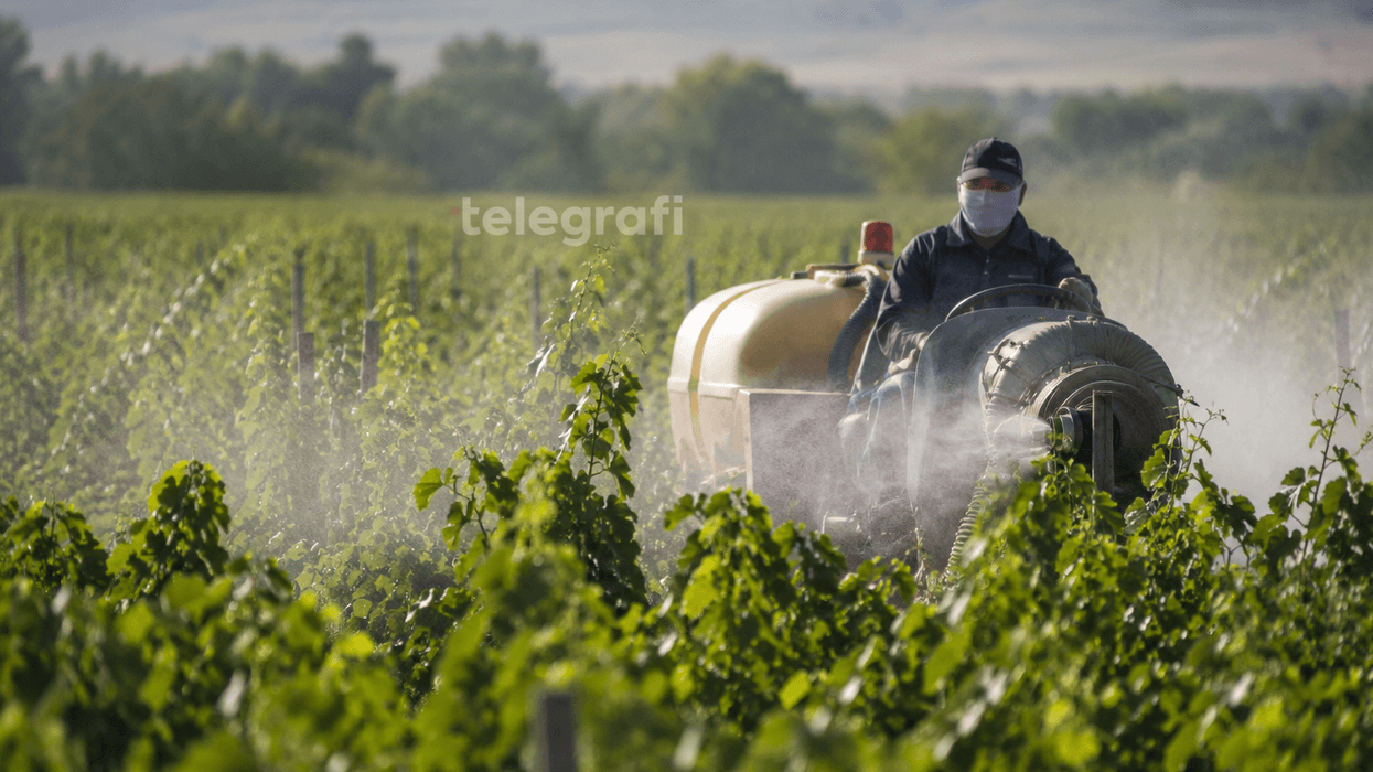 Pesticidet po shtrenjtohen, spërkatjet s’ndalen – se çka po ndodh në arat e Kosovës zbulojnë shifrat dhe ekspertët