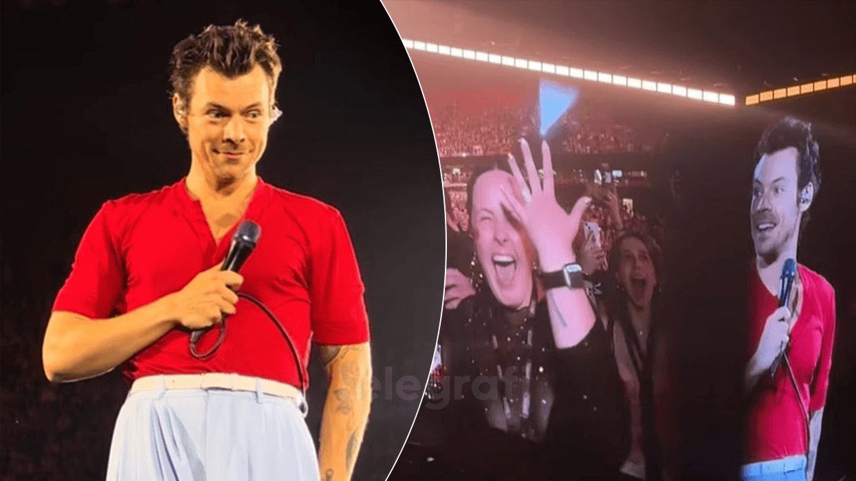 Fansat e Harry Styles fejohen në koncertin e tij pasi pranuan se u takuan në një koncert të Niall Horan