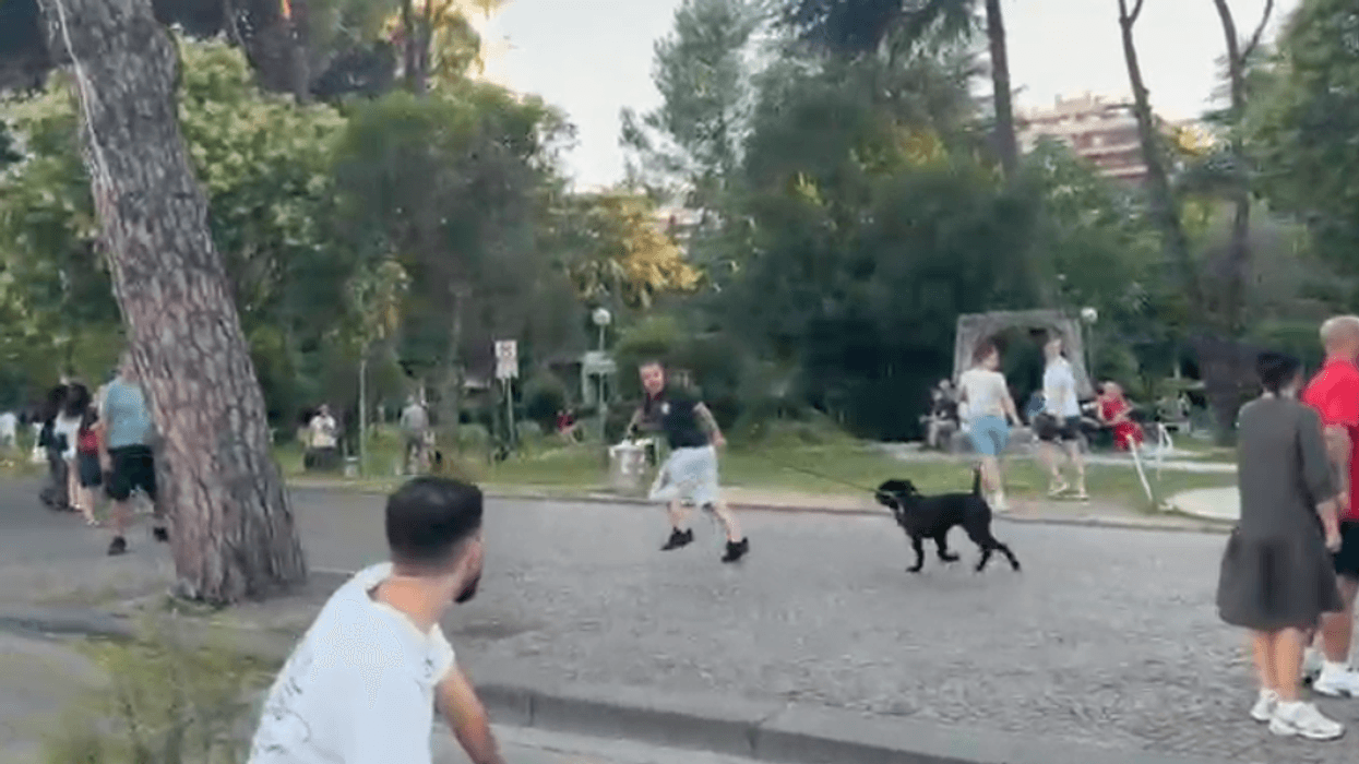 Dalin pamjet, protestuesit në Shqipëri ndjekin të riun me pitbull pas përplasjes verbale Dalin pamjet, protestuesit në Shqipëri ndjekin të riun me pitbull pas përplasjes verbale