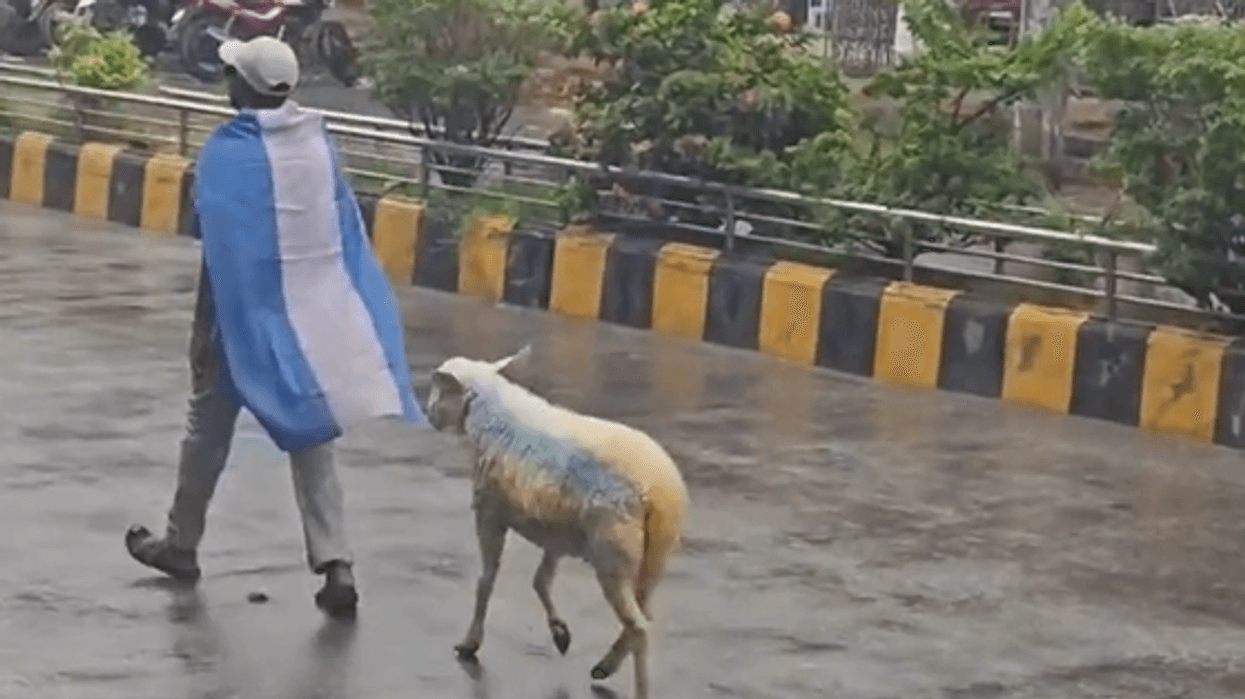 “Vamos Argentina” – video e çuditshme nga Bangladeshi pushton rrjetet sociale “Vamos Argentina” – video e çuditshme nga Bangladeshi pushton rrjetet sociale