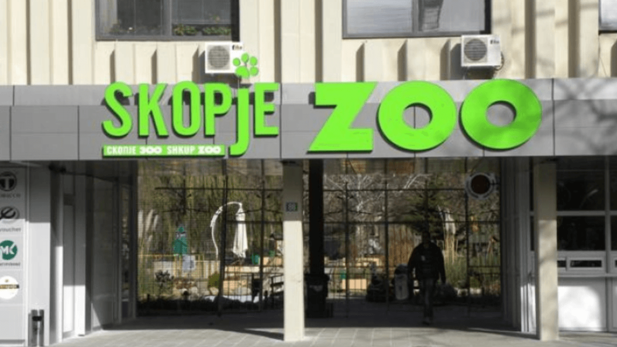 Arratisja e ujqërve në Kopshtin Zoologjik në Shkup, kërkohet mbyllja dhe inspektimi i tij