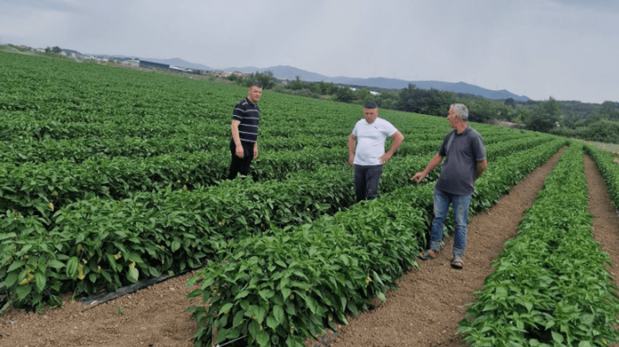 Drejtori i Bujqësisë në Rahovec viziton fermerin nga Gegja, vlerëson përkushtimin dhe rezultatet në prodhim Drejtori i Bujqësisë në Rahovec viziton fermerin nga Gegja, vlerëson përkushtimin dhe rezultatet në prodhim