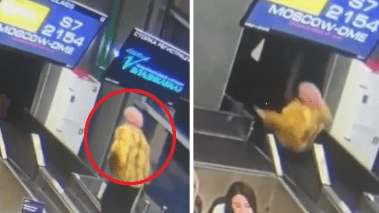 E moshuara ngatërron shiritin e bagazheve me shkallët lëvizëse në aeroport - pamjet bëhen virale