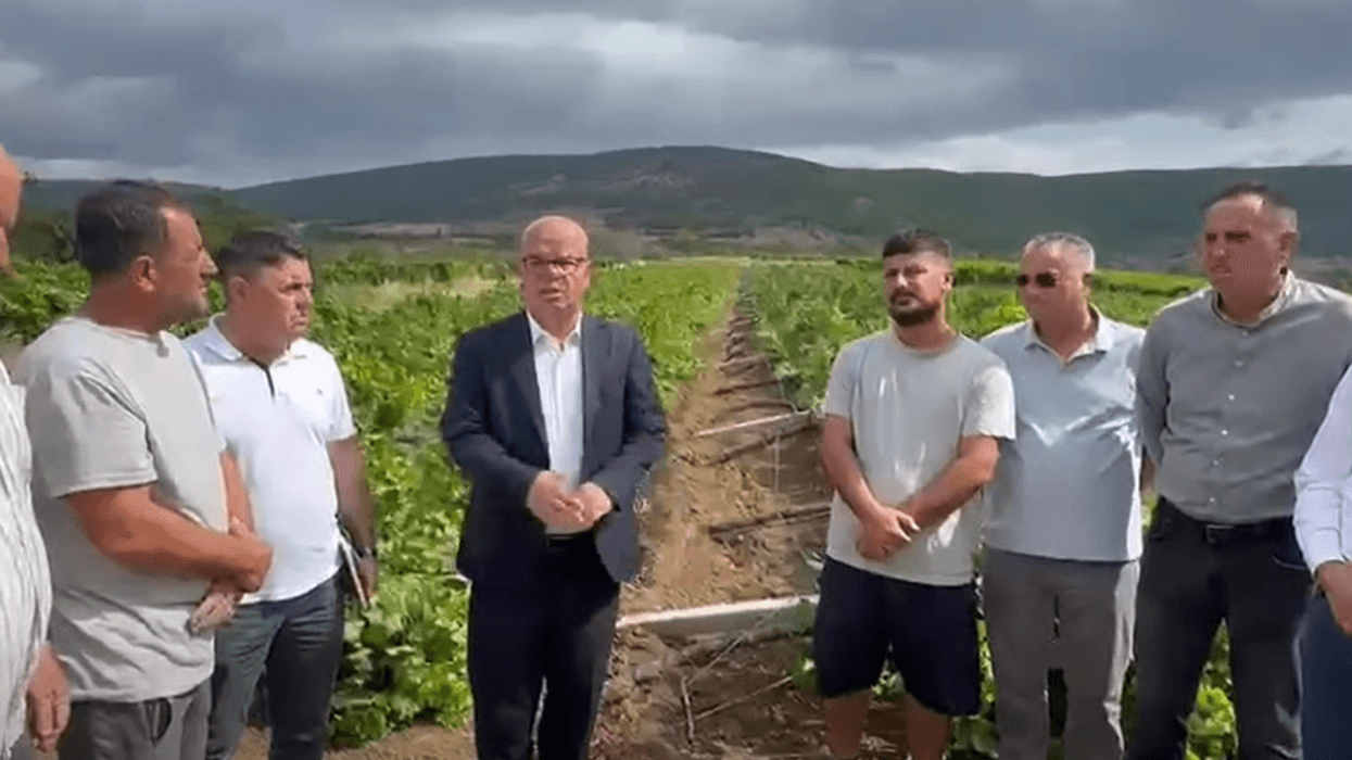 Stuhitë e forta shkaktojnë dëme të mëdha në vreshta dhe prona në Rahovec