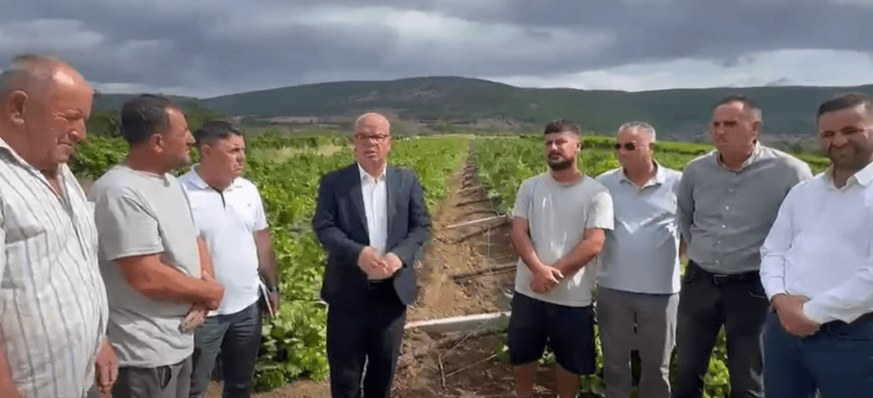 Stuhitë e forta shkaktojnë dëme të mëdha në vreshta dhe prona në Rahovec