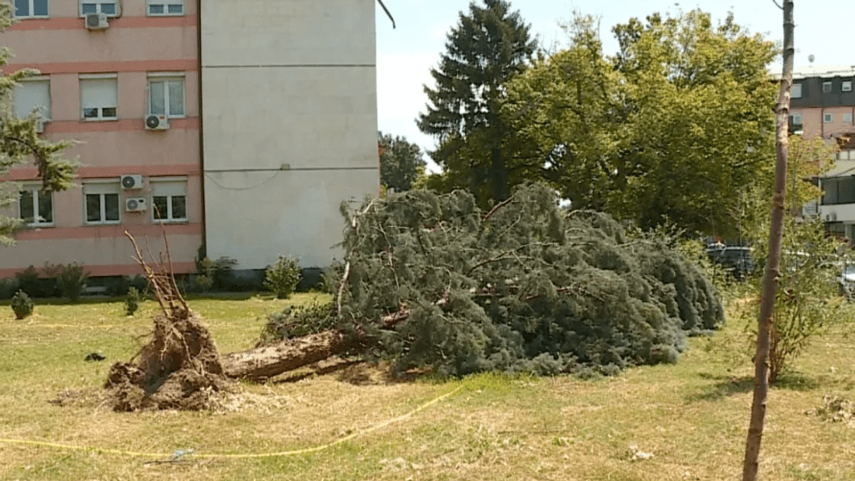 Një javë pas stuhisë, rrugët ende të papastruara - qytetarët ankohen për mospastrimin Një javë pas stuhisë, rrugët ende të papastruara - qytetarët ankohen për mospastrimin