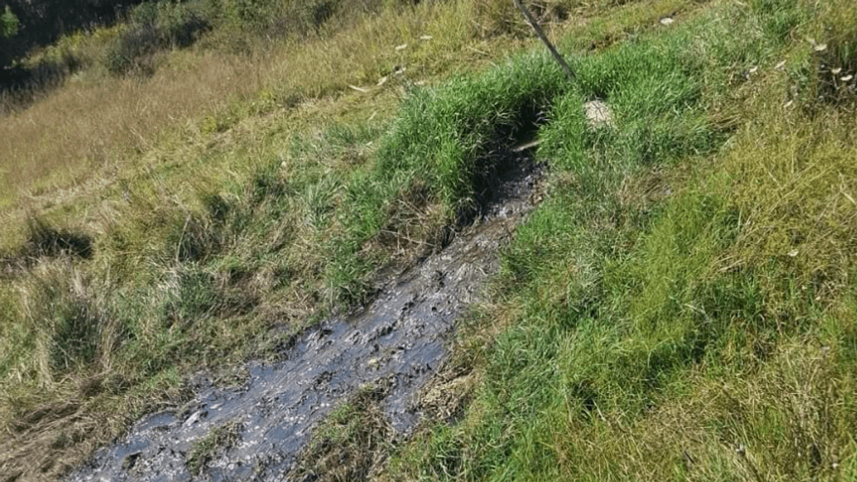 Banorët e Kpuzit kërkojnë ndërhyrje për rrjedhjen e ujërave të zeza nga kanalizimi