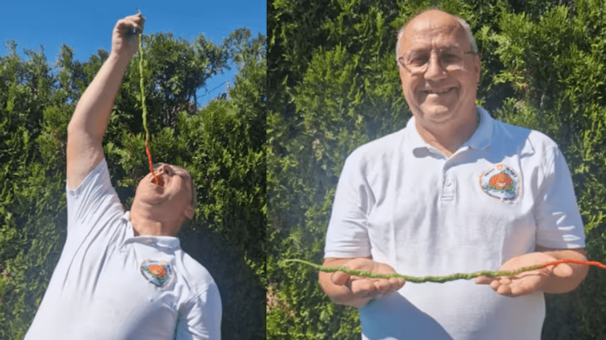 52 centimetra i gjatë, ky është speci djegës që theu rekordin botëror