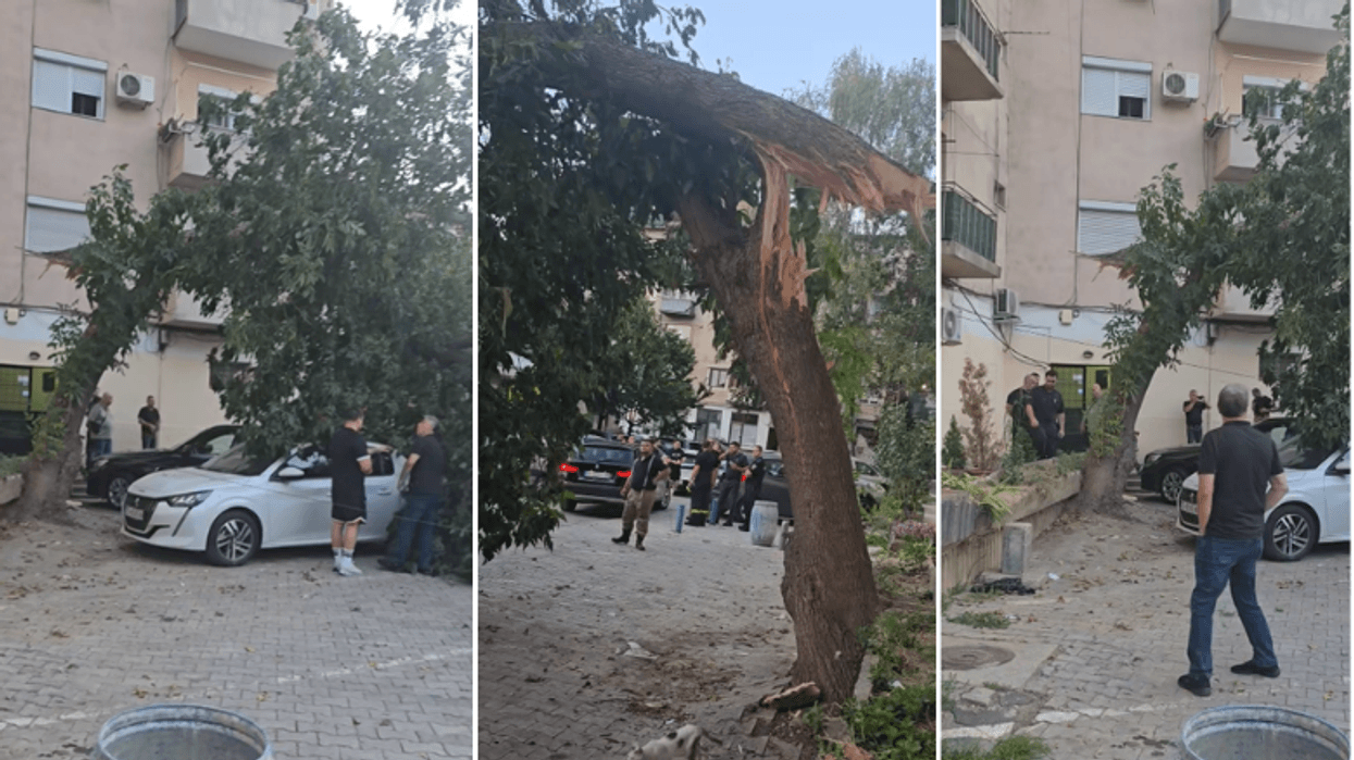 Rrëzohet një pemë e madhe në Qendrën e vjetër tregtare në Tetovë, bllokohen disa automjete