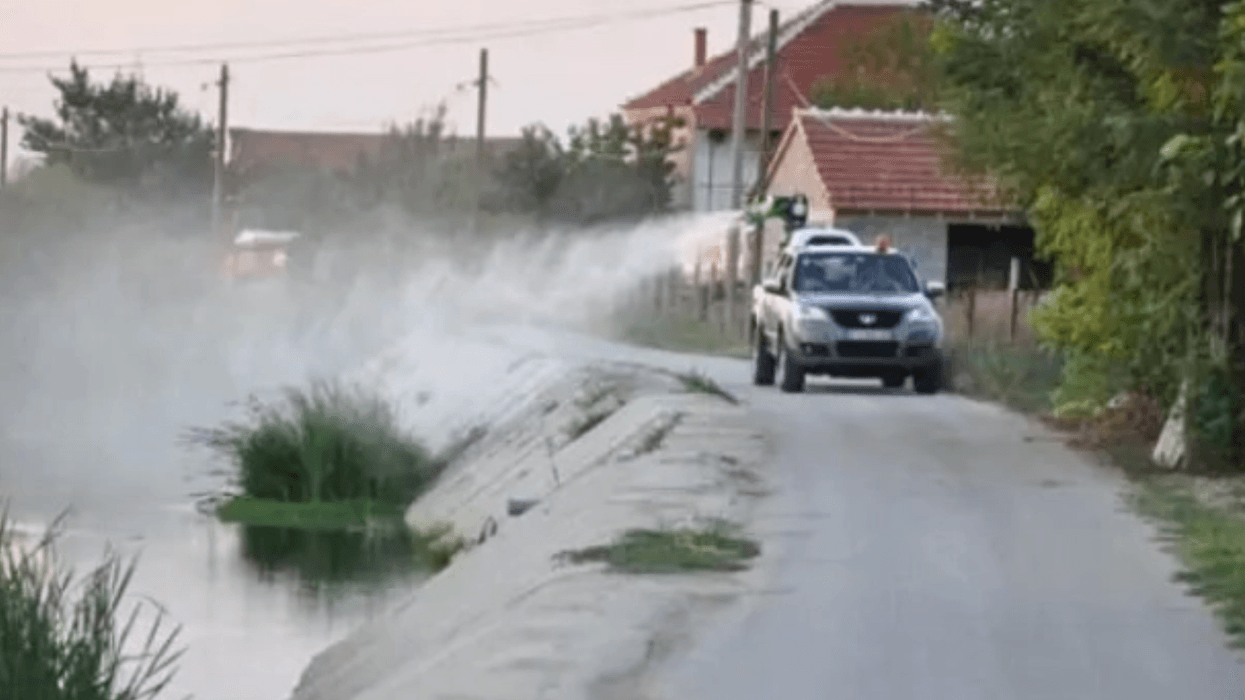 Sot do të bëhet dezinsektim tokësor kundër larvave të mushkonjave në territorin e Shkupit
