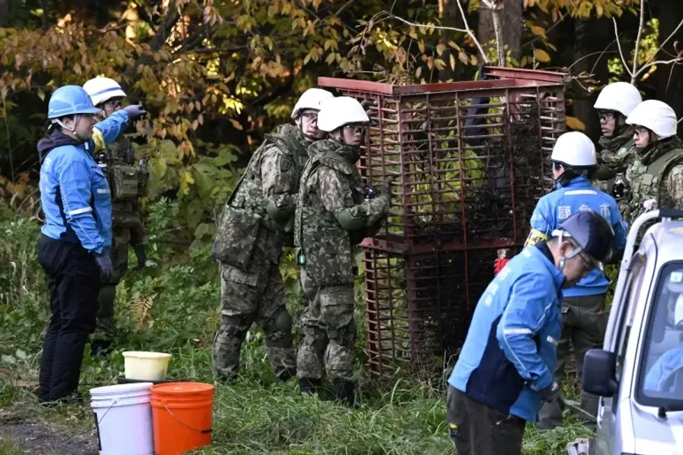Japonia në alarm, vendos ushtrinë për të përballuar sulmet e arinjve