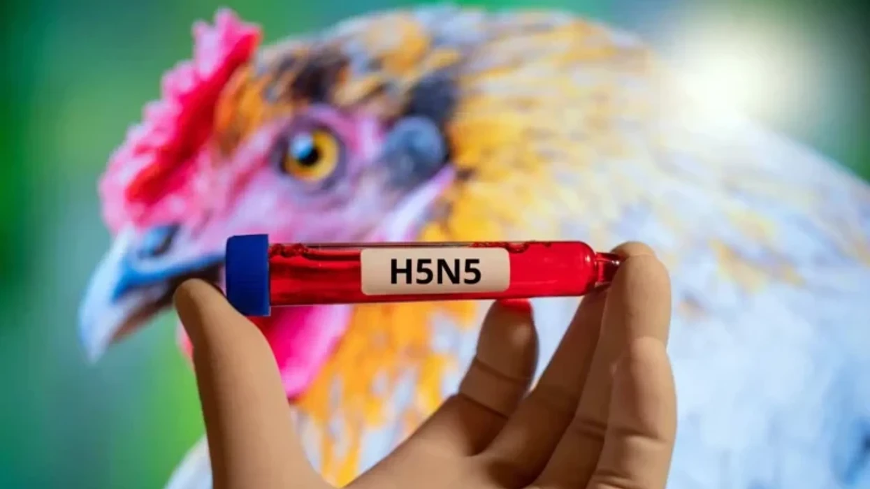 Vdes njeriu i parë i infektuar me llojin e rrezikshëm të gripit të shpendëve në SHBA