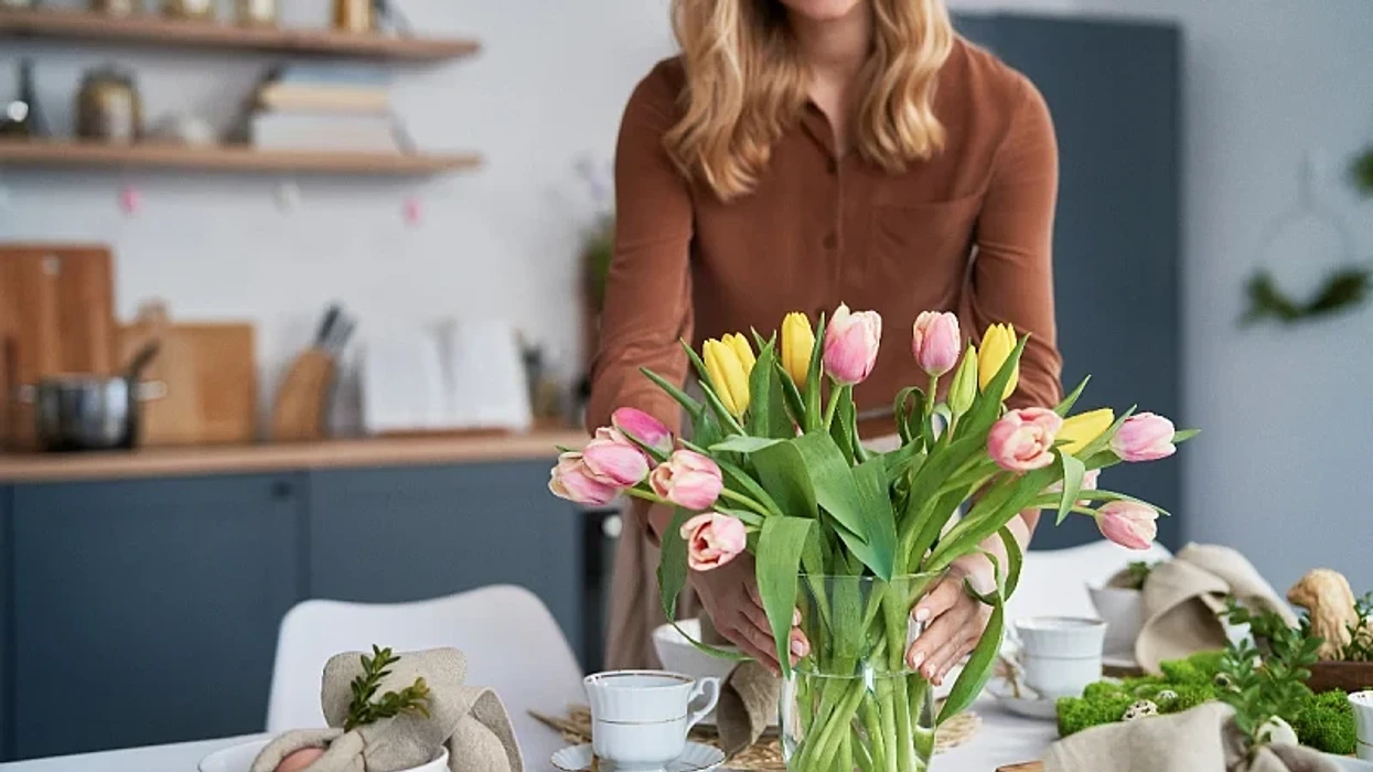 Dëshironi që tulipanët tuaj të zgjasin më shumë në vazo? Ja çfarë duhet të bëni