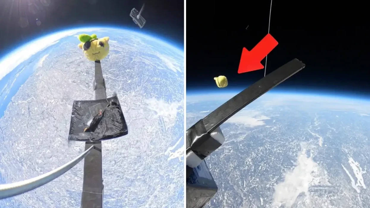 Kafsha prej pelushi hidhet nga stratosfera e Tokës