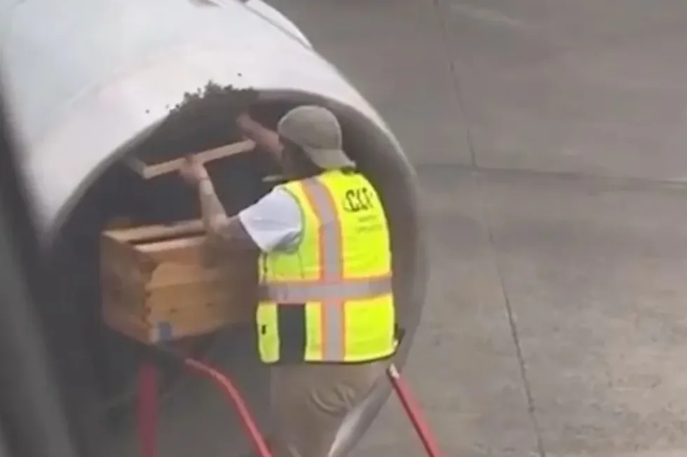 Fluturimi vonohet pasi një tufë bletësh pushton turbinën e aeroplanit