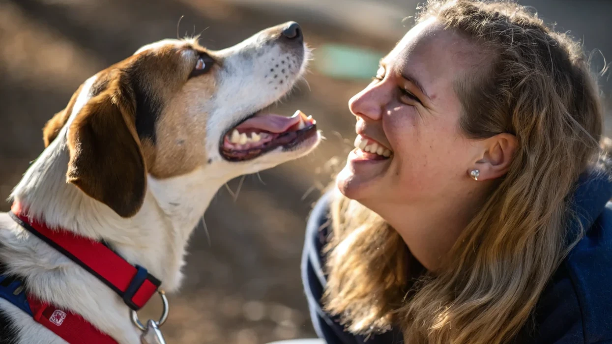 Pse duhet t’i buzëqeshni qenit tuaj? Studiuesit zbulojnë ndikimin e jashtëzakonshëm
