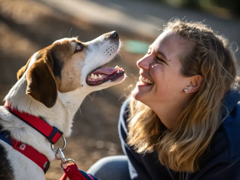 Pse duhet t’i buzëqeshni qenit tuaj? Studiuesit zbulojnë ndikimin e jashtëzakonshëm