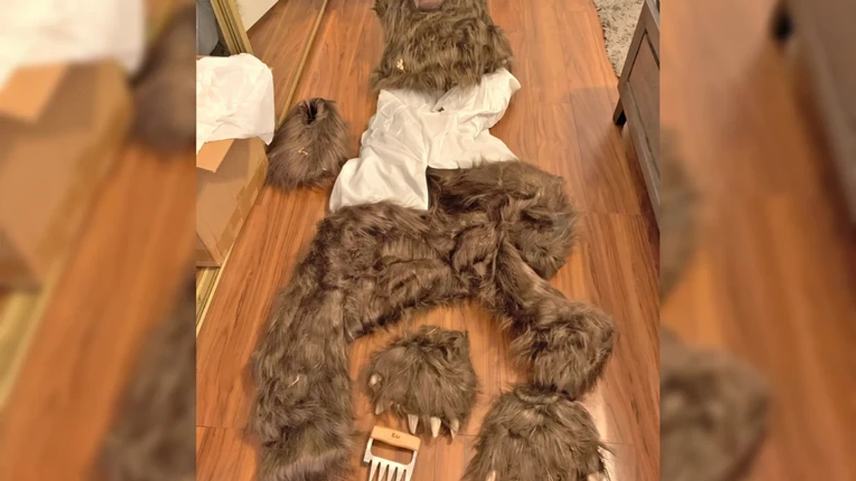 I veshur me kostumin e një ariu gërvishte veturat për të marrë pagesat e sigurimeve, autoritetet në Kaliforni arrestojnë tre persona