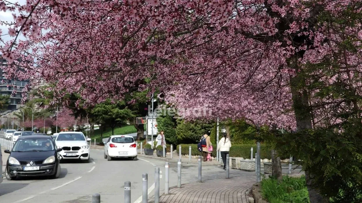 Mot me diell, temperaturat maksimale do të arrijnë deri në 26 gradë Celsius Mot me diell, temperaturat maksimale do të arrijnë deri në 26 gradë Celsius