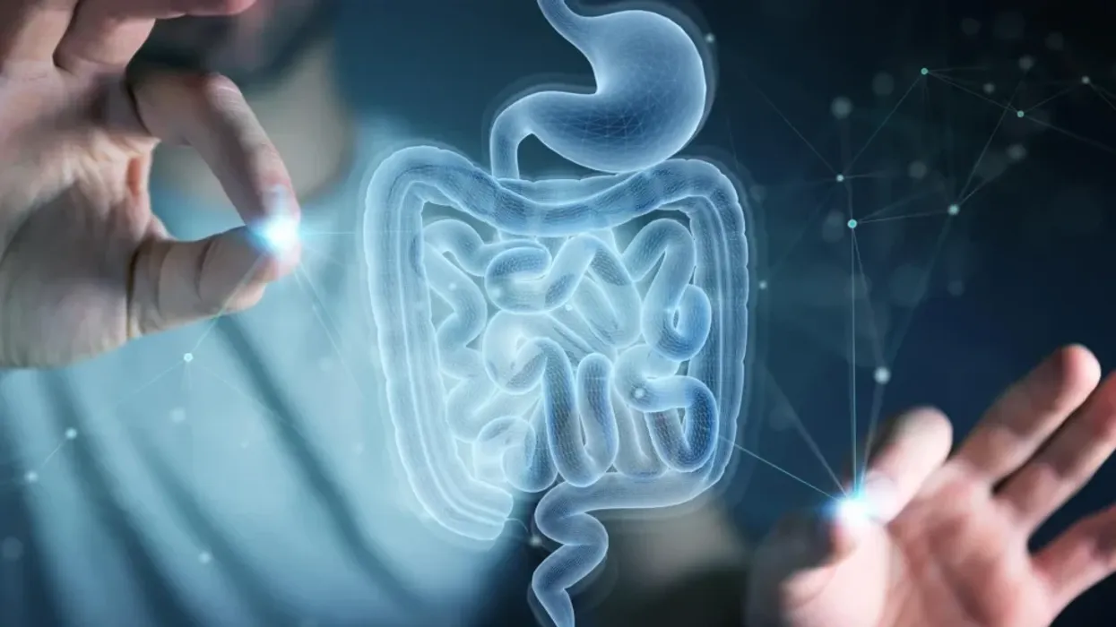 Shkencëtarët kombinuan dy vitamina dhe krijuan një përbërje që mund ta ndihmojë trurin të rigjenerohet Shkencëtarët kombinuan dy vitamina dhe krijuan një përbërje që mund ta ndihmojë trurin të rigjenerohet