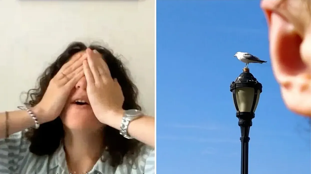 Icelandair ka gjetur 'fotografen më të keqe në botë' - dhe po i paguan asaj 50,000 dollarë Icelandair ka gjetur 'fotografen më të keqe në botë' - dhe po i paguan asaj 50,000 dollarë