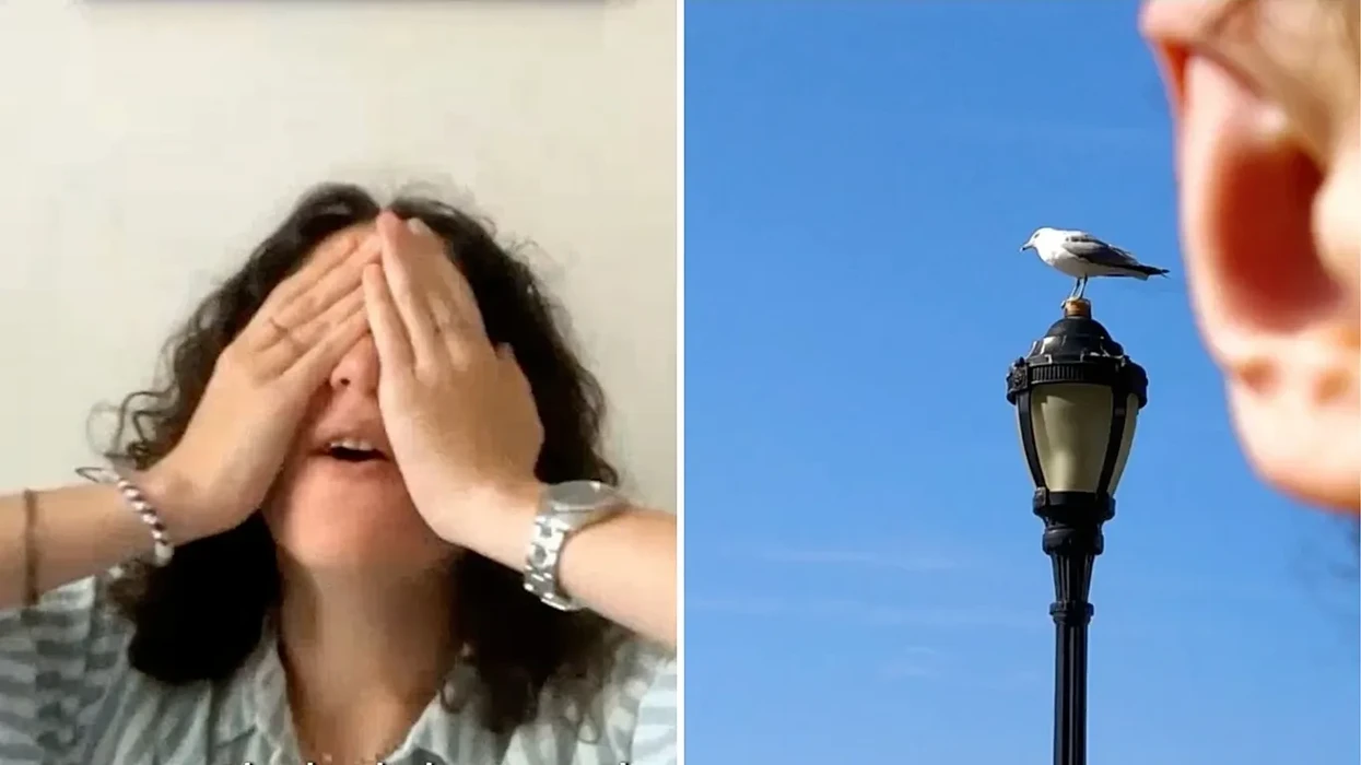 Icelandair ka gjetur 'fotografen më të keqe në botë' - dhe po i paguan asaj 50,000 dollarë