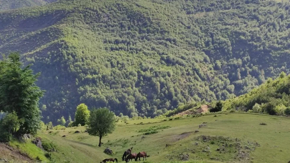 Zhduken dy turistë gjermanë në malin e Polisit në 