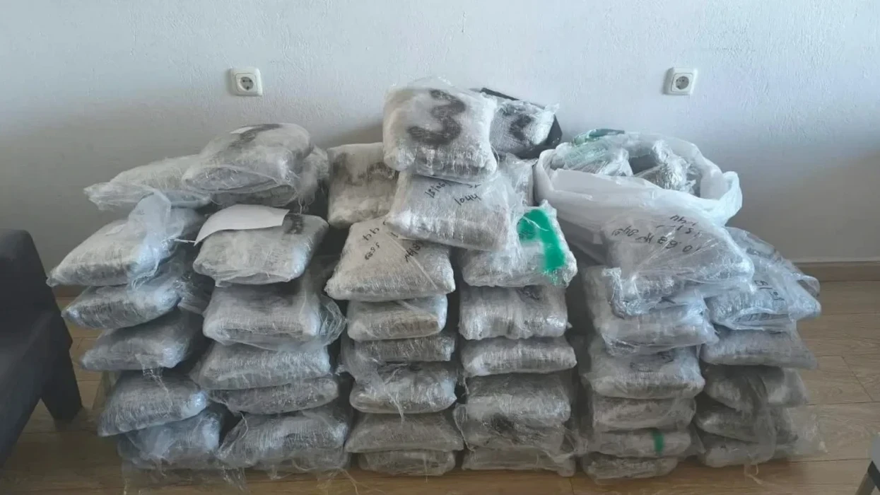 Sekuestrohen 96 kg marijuanë në kufirin greko-shqiptar