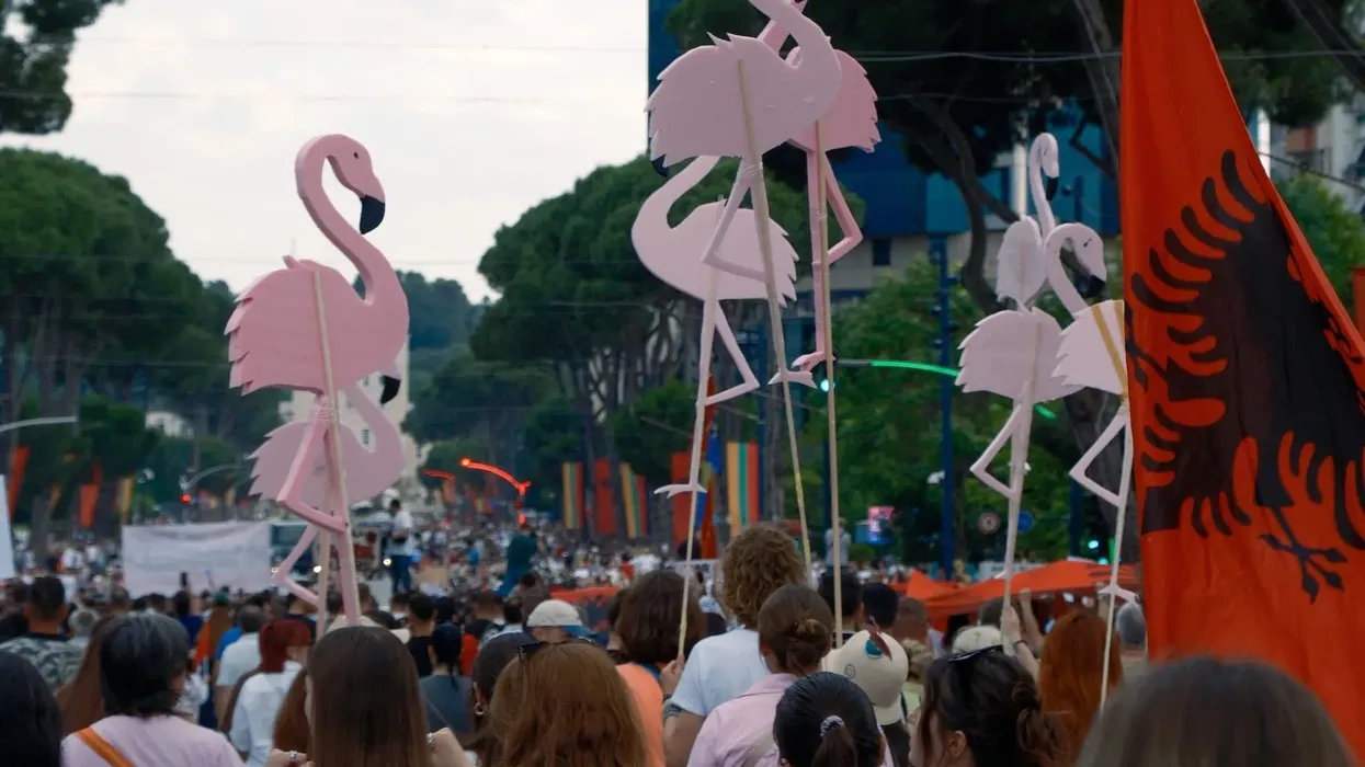 “NZZ am Sonntag”: Revolucioni i flamingove në Shqipëri - nga buzëkuqi te aktivizmi për demokraci “NZZ am Sonntag”: Revolucioni i flamingove në Shqipëri - nga buzëkuqi te aktivizmi për demokraci