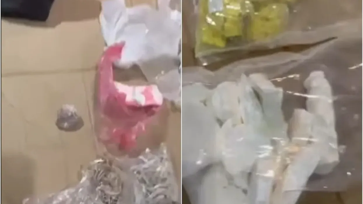 Sekuestrohet sasi e madhe e drogës në bodrumin e një ndërtese në Komunën Aerodrom Sekuestrohet sasi e madhe e drogës në bodrumin e një ndërtese në Komunën Aerodrom