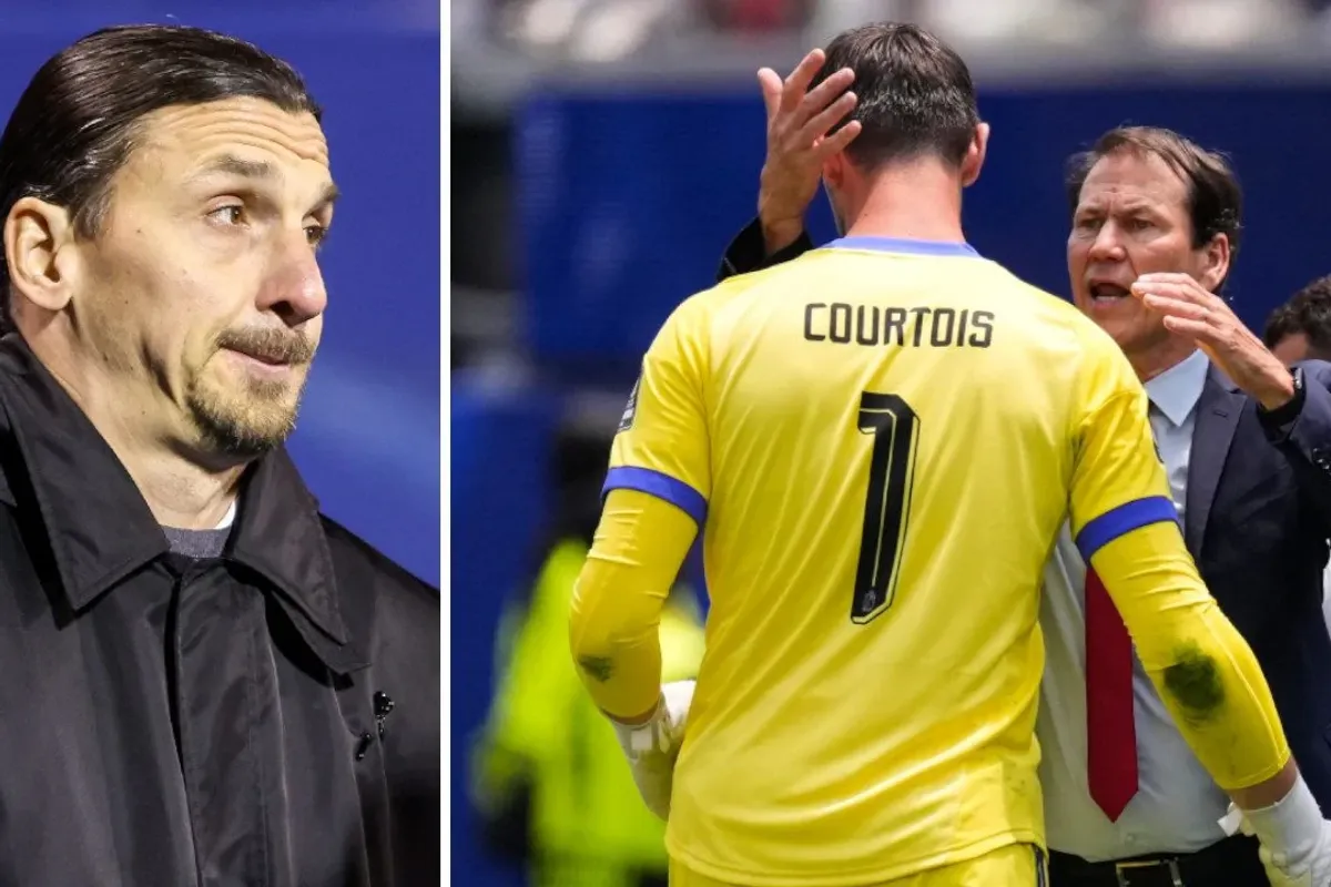 Ibrahimovic shpërthen pas eliminimit të Belgjikës: Trajneri duhet të ketë turp, ai lojtar se meritoi të luante Ibrahimovic shpërthen pas eliminimit të Belgjikës: Trajneri duhet të ketë turp, ai lojtar se meritoi të luante