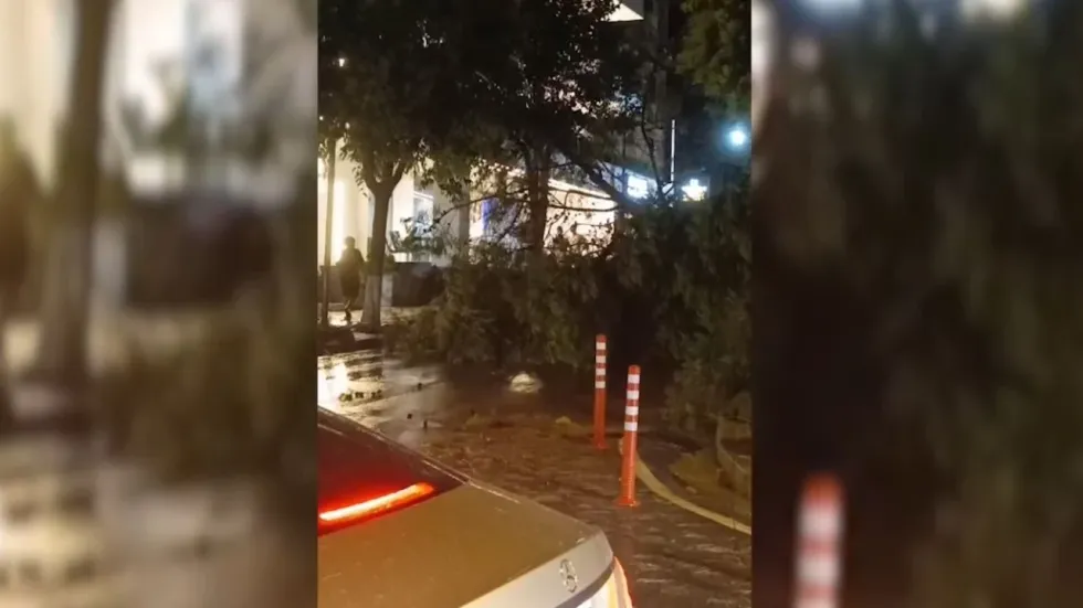 Stuhia prek Sarandën gjatë natës, tre persona lëndohen nga thyerja e xhamave - pema e rrëzuar dëmton veturat