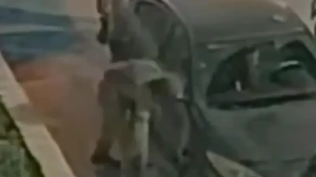 Ushtari izraelit shpon gomat e makinave palestineze, godet xhamat me qytën e pushkës Ushtari izraelit shpon gomat e makinave palestineze, godet xhamat me qytën e pushkës