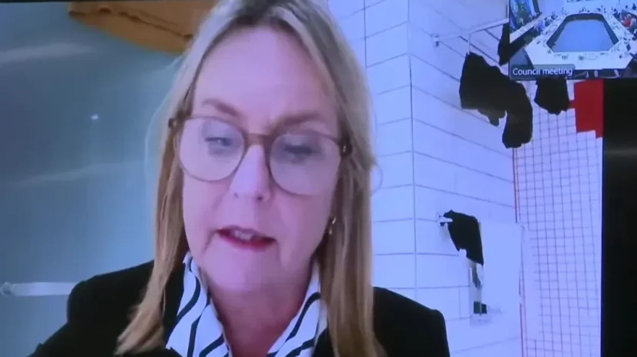 Politikania zelandeze shfaqet nga banjoja në takimin online