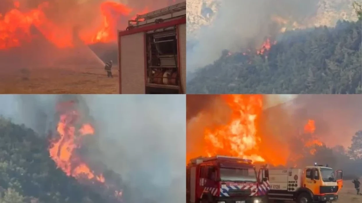 Situatë e rëndë në rrethinat e Tiranës, zjarret po përhapen me shpejtësi në kodra dhe pyje