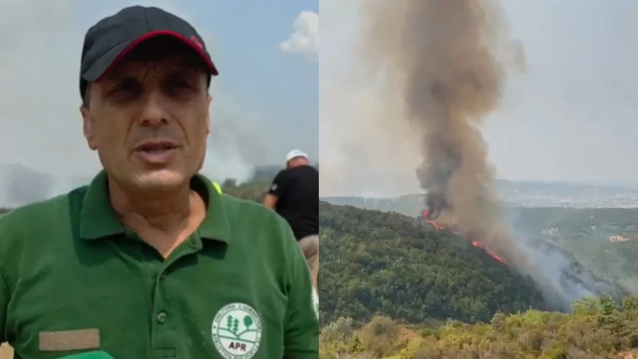 “Janë djegur rreth 20 hektarë”, zjarri në 4 fshatra në juglindje të Tiranës