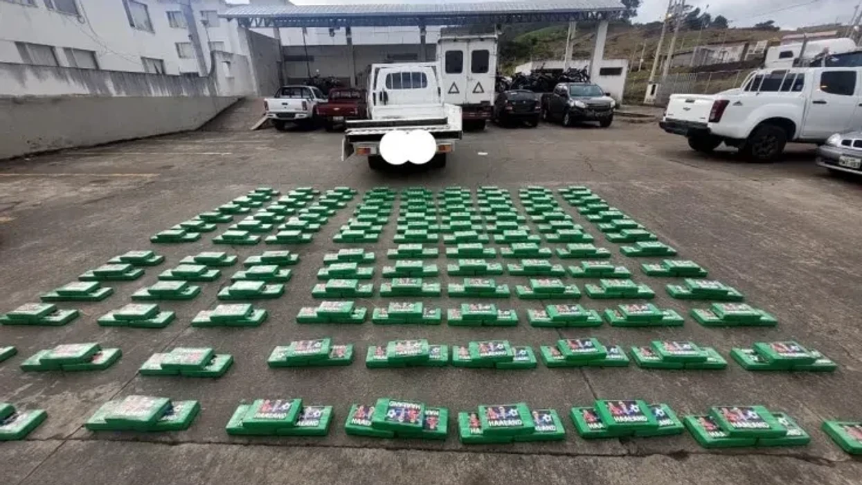 Cocaine with Haaland's face - Ecuadorian police seize 453 kilograms of drugs