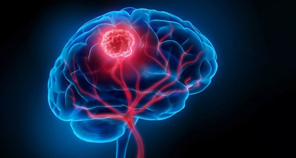 ImageForArticle 22689 16557226091621127