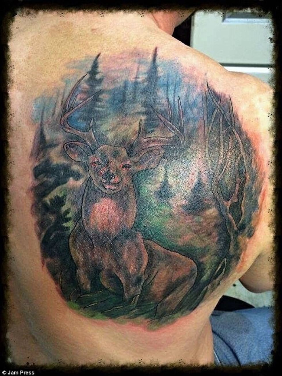 Imazhet e shëmtuara të kafshëve që i kanë bërë tatuazhe në trup foto 10